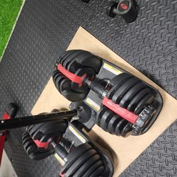 Bowflex Dumbbells