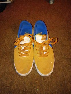 Nike SB Low-Top Skate Sneakers