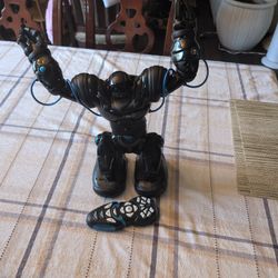 Robot Remote Control RS Blue