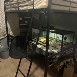 Loft Bed