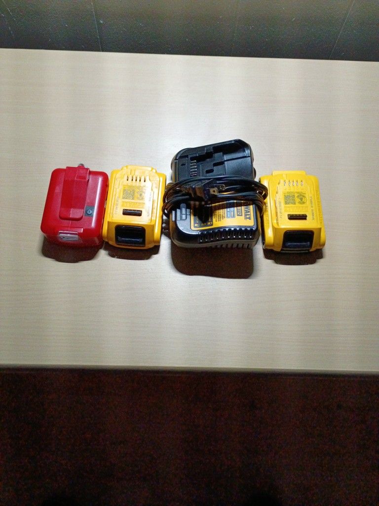 Cargador Nuevo DeWALT  Vs  Led Lamp