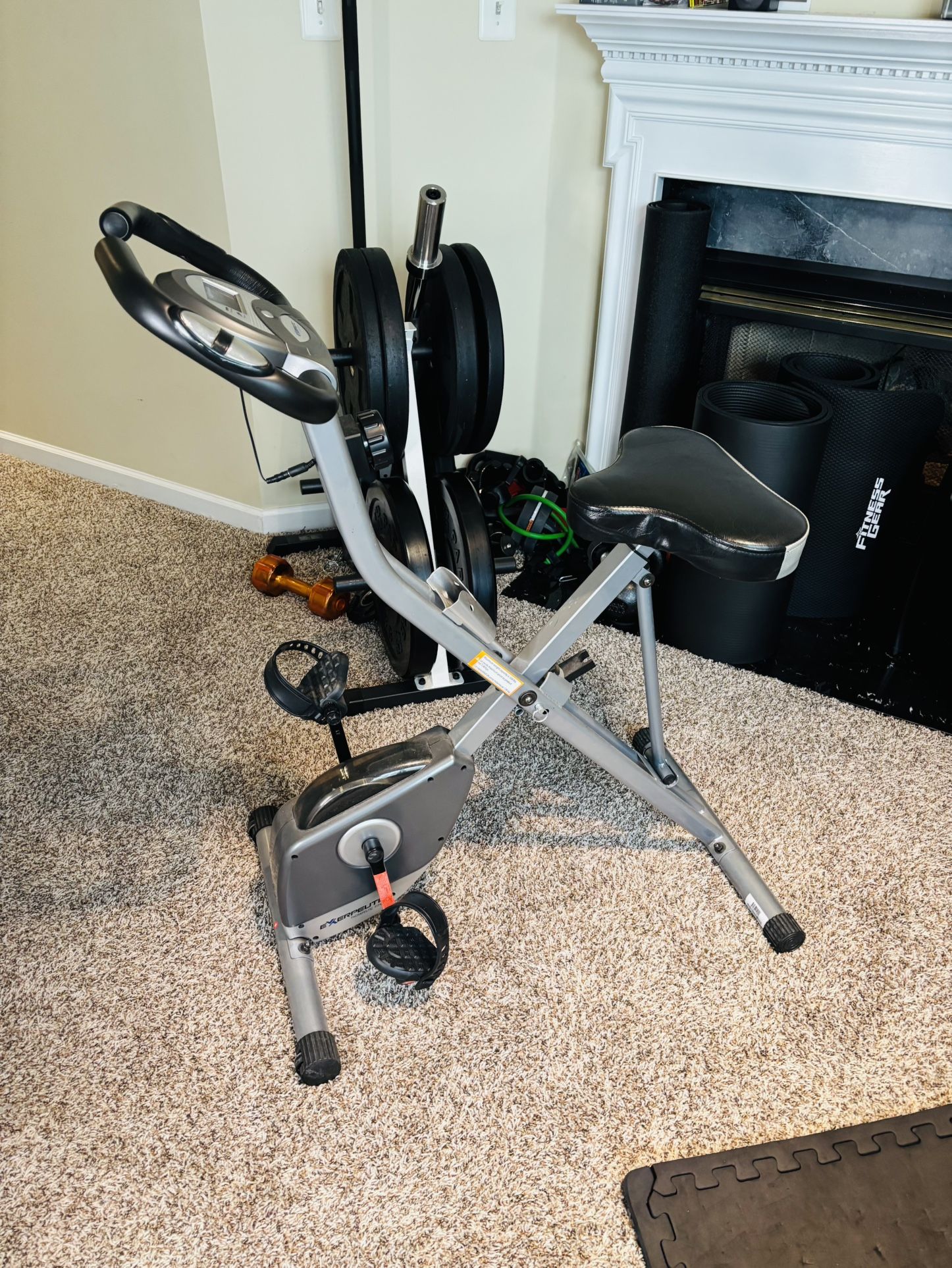 Exerpeutic Therapeutic Fitness Bike
