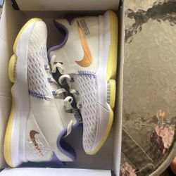New With Box  Nike Lebron Witness 