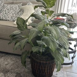 Artificial Plant Home Decoration