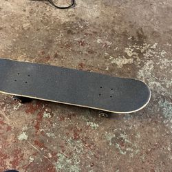 Santa Cruz Back Skateboard 