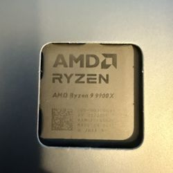 AMD Ryzen 9 9900X CPU 