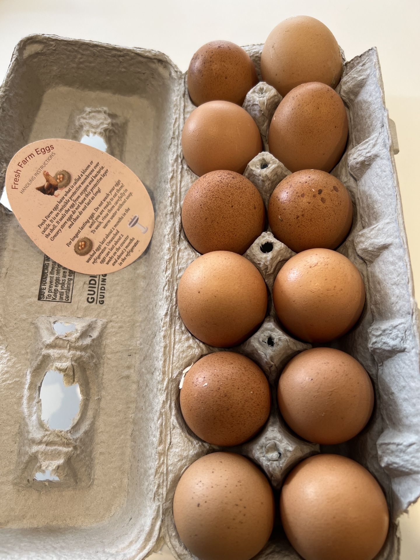 Fresh Eggs