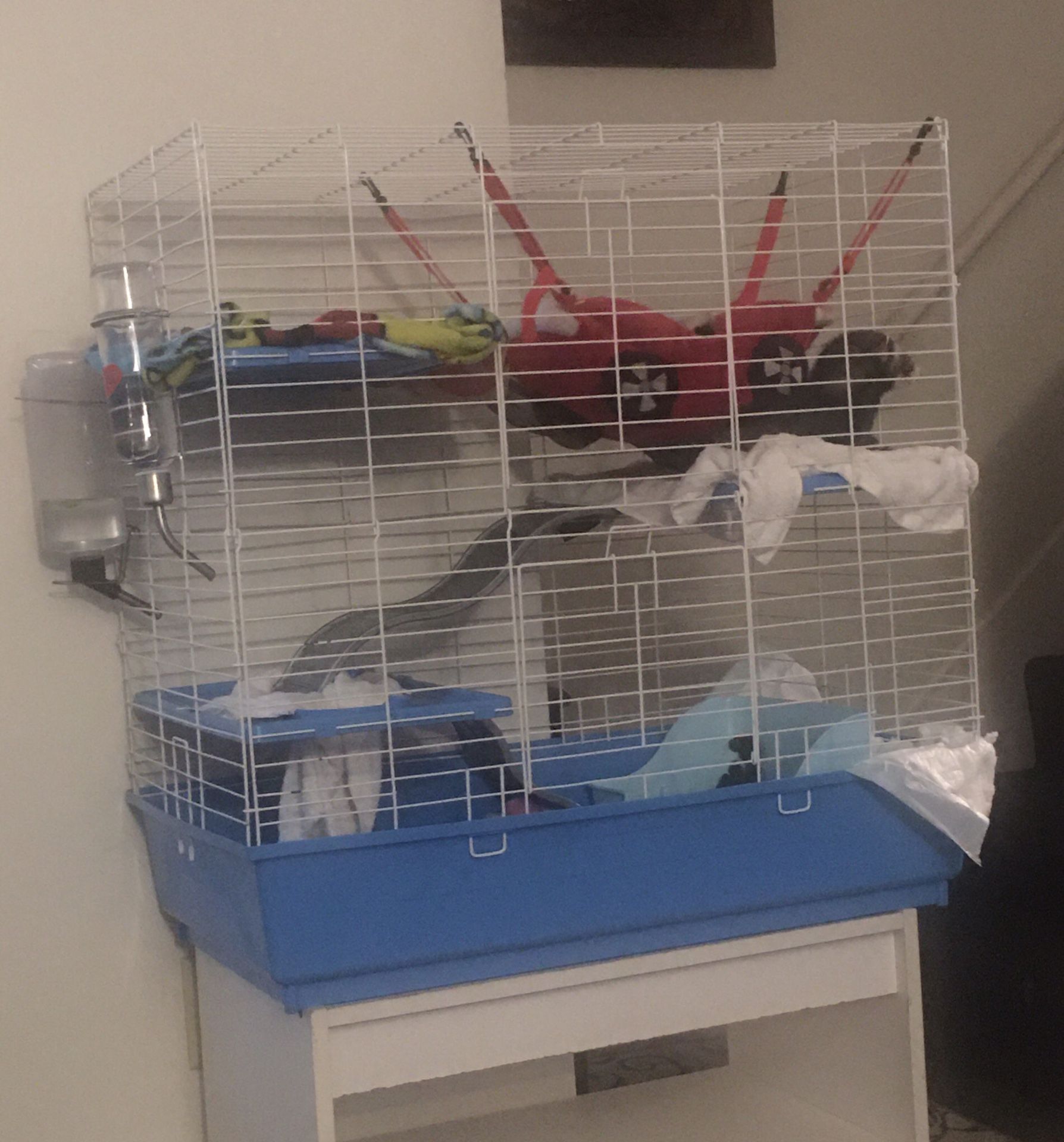 Kaytee farret cage