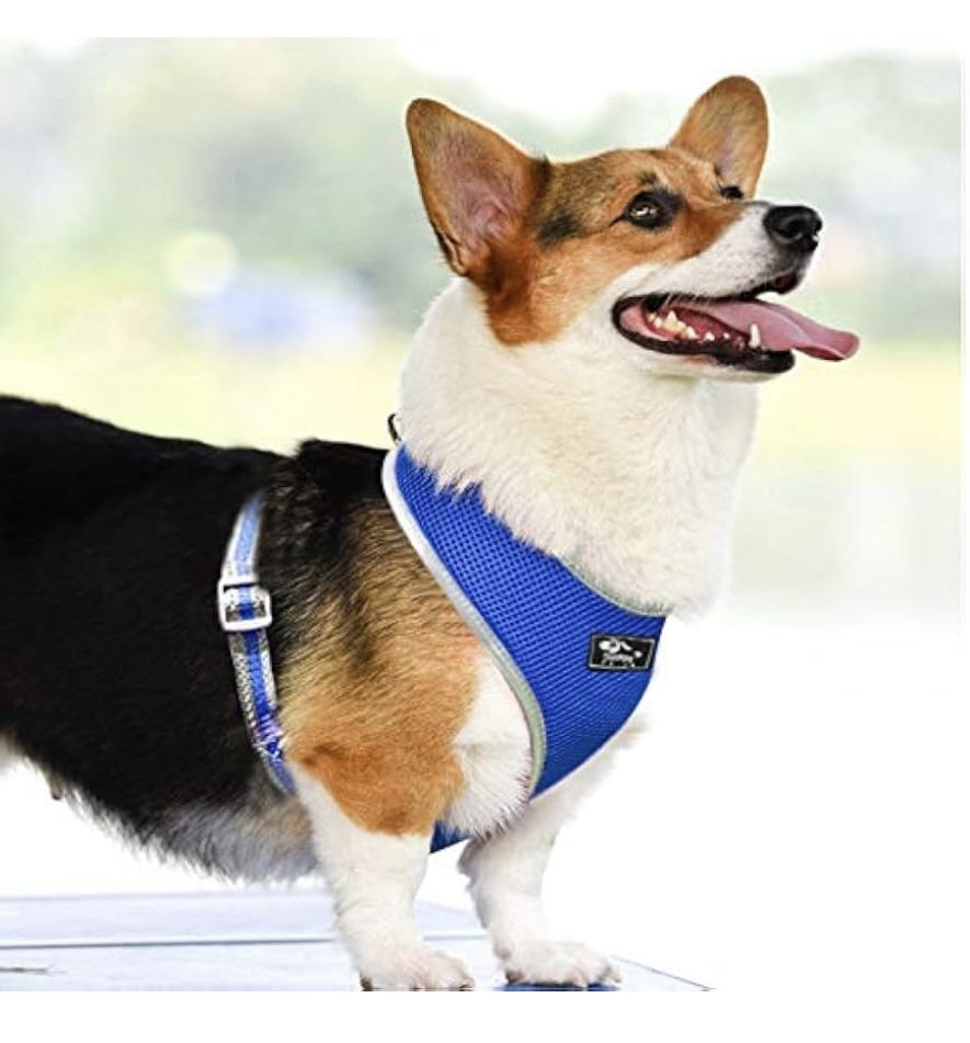 Puppy Harness and Leash Set - Soft Mesh Breathable Full Body