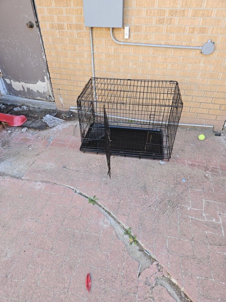 Dog Kennel