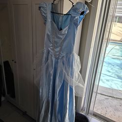 Adult Cinderella costume