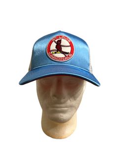 47 St Louis Cardinals SnapBack hat (New)