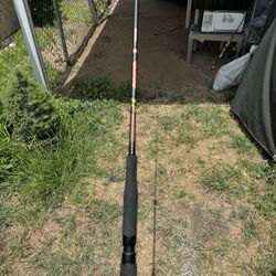 Favorite Fishing Spinning Rod