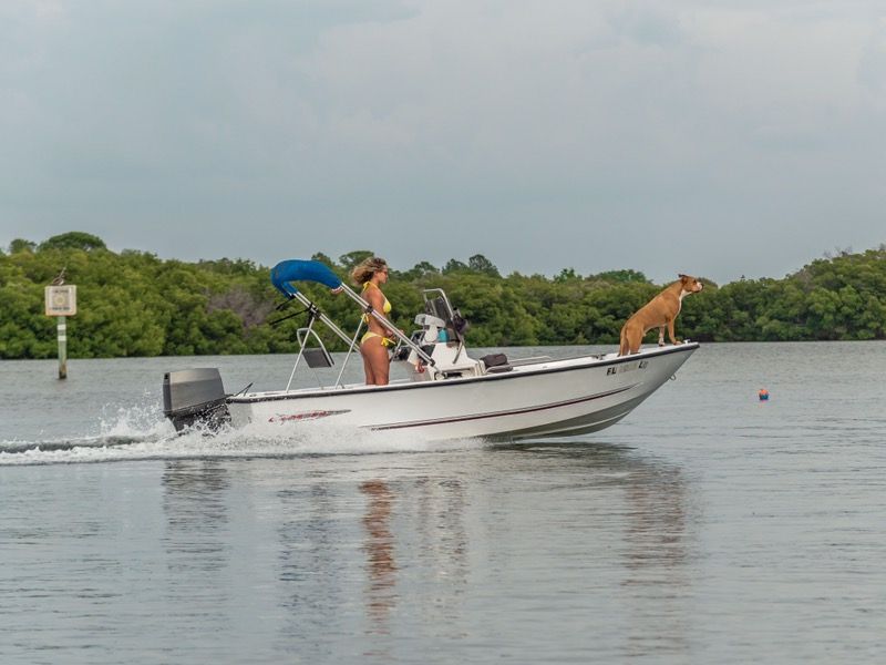 17ft Logic Boat Center console with extras