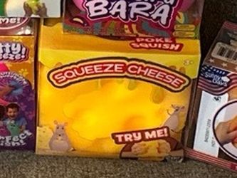 Squeezee Cheese Squishy Toy