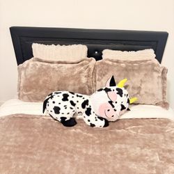 Queen Size Bed Frame