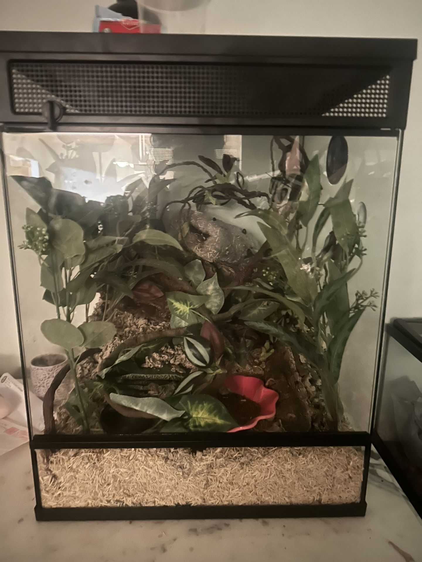 Gecko Or Small Animal Cage