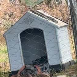 Doggy house