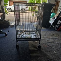 Bird Cage New