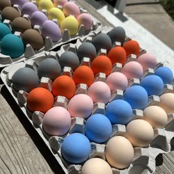 30 Easter Eggs Trays Each  For $6 