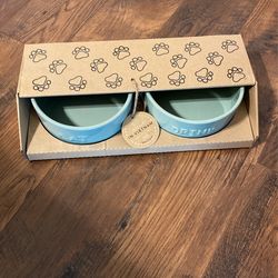 Dog Bowls Glass