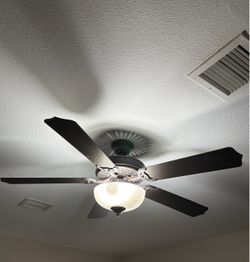 Ceiling fan