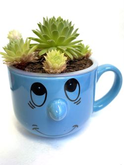 Succulents In 3 1/4"H Pot.