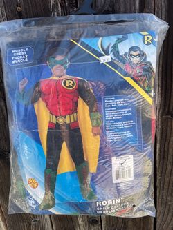 Robin costume size 4-6