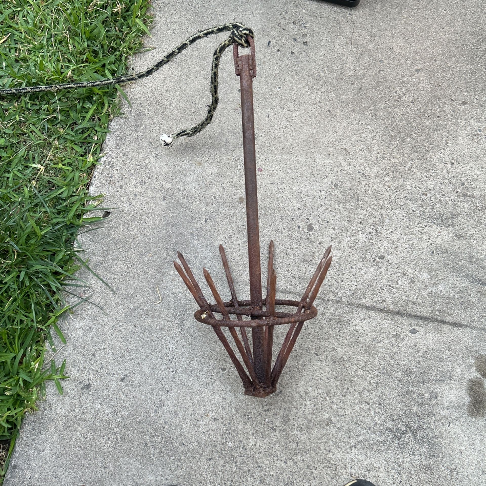 Mussel Hook For Bait