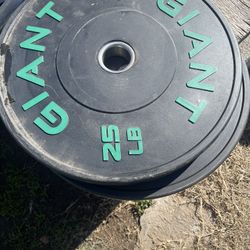 Giant 25 Ibs Plates