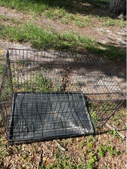 Pet Kennel $20