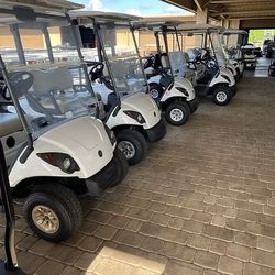 Yamaha Drive 1 48 volt- Glacier