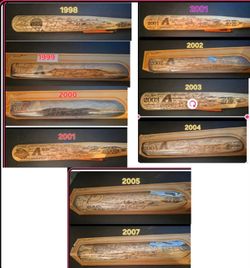 Arizona Diamondbacks bats