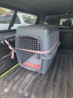 Medium  dog kennel