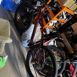 Schwinn Adult Mountain Bike Large 29in