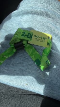 Day trip festival