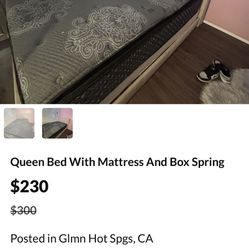 Queen Bed With Mattress And Box Spring.