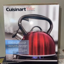 Boiling Water Kettle