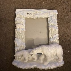 Maybe Resin 6 X 8” San Diego Zoo Polar Bear Picture Frame