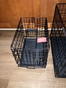 Dog cage Ava now