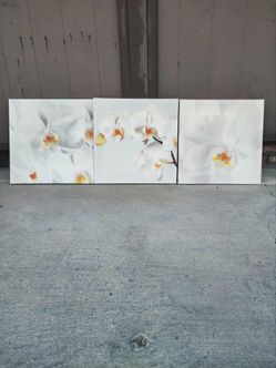 orchid canvas wall art 
