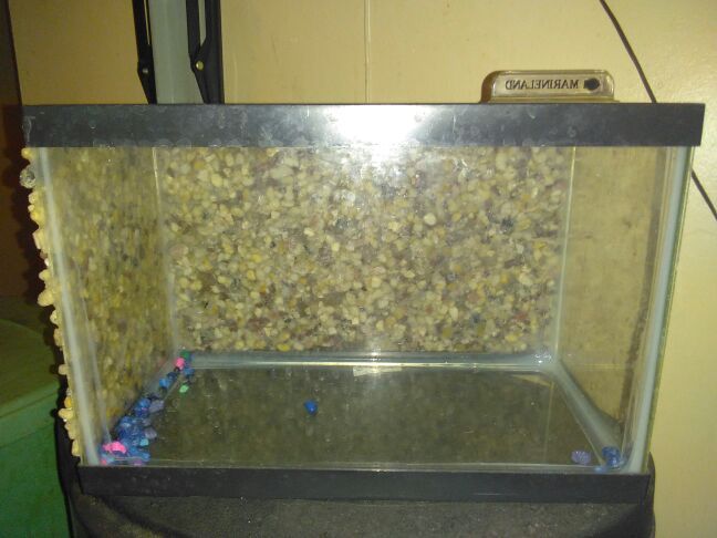 Aquarium Reptile/Fish Tank 12x8x12