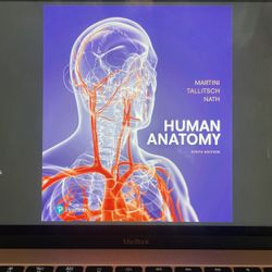 Human Anatomy