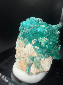 Dioptase Cluster on Matrix in Perky Box