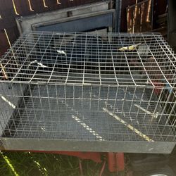 Transport Cage For Small Animals