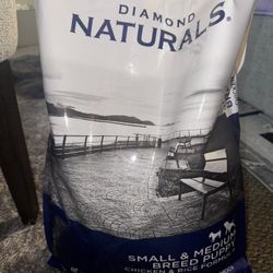 Dog Food Experaition Dec 2025