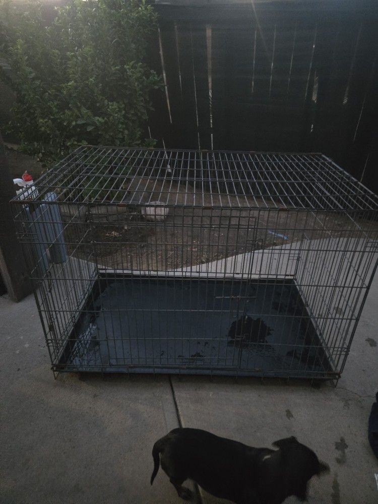 Dog Crate