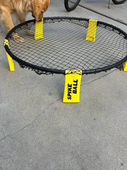 Spikeball Net