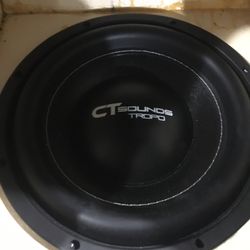 10 inches  CT Audio  2000 watts 