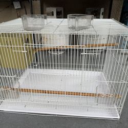 Bird Cages